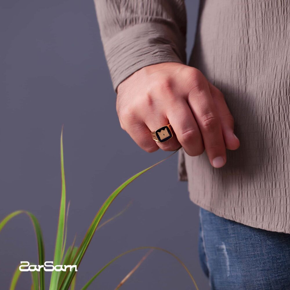 انگشتر پادشاه سری پارسا - 3