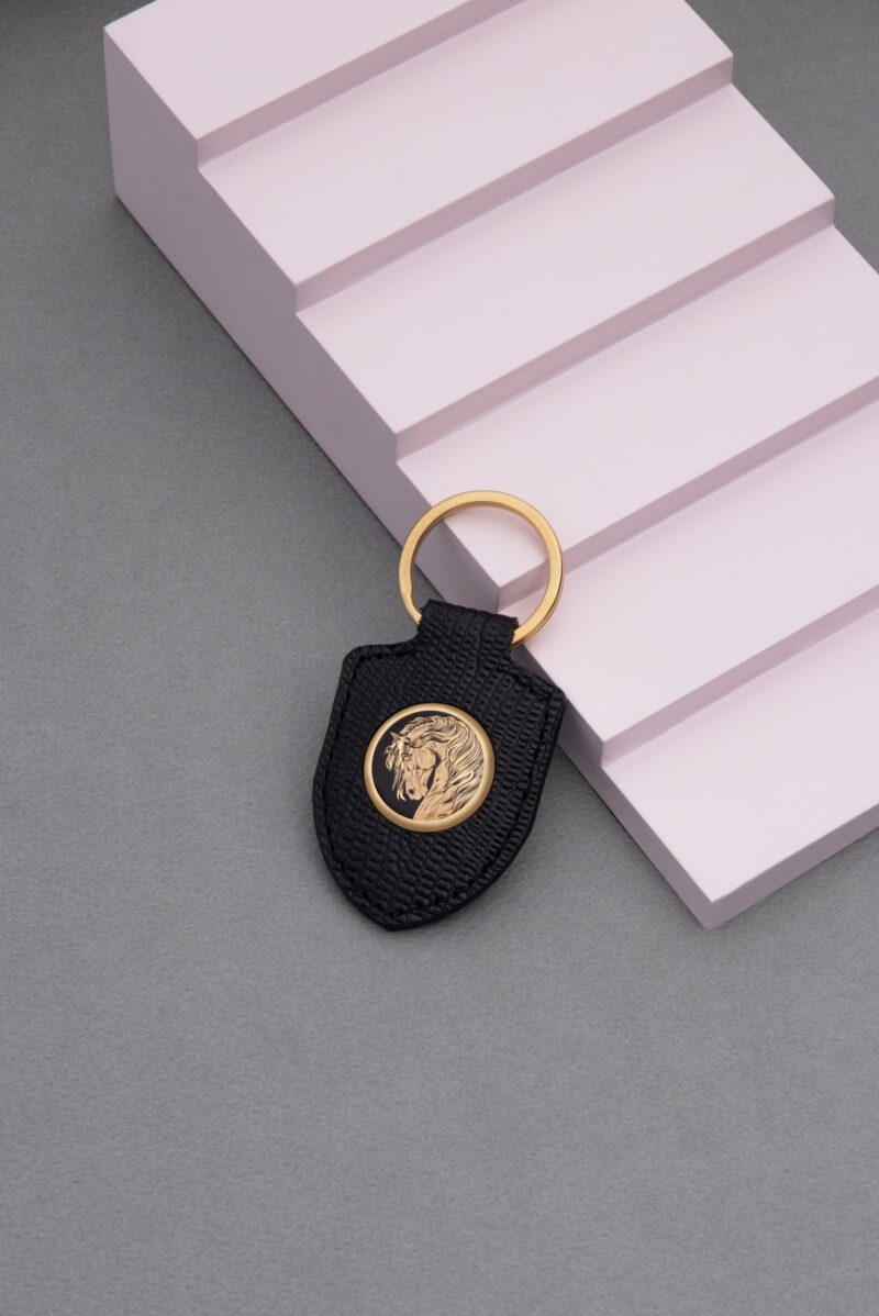 جاسوئیچی شبدیز سری آرش - 2