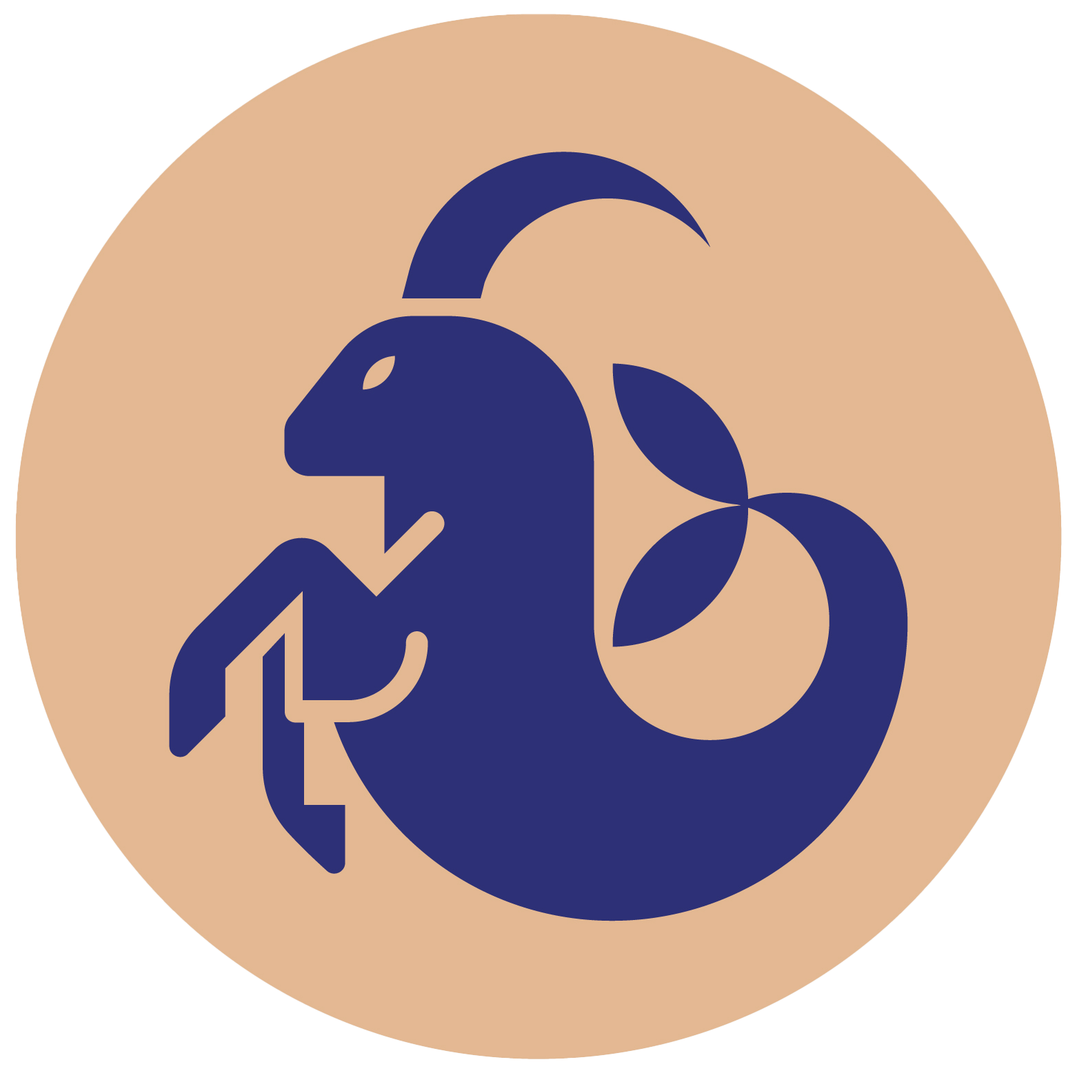 محصولات ماه تولد دی