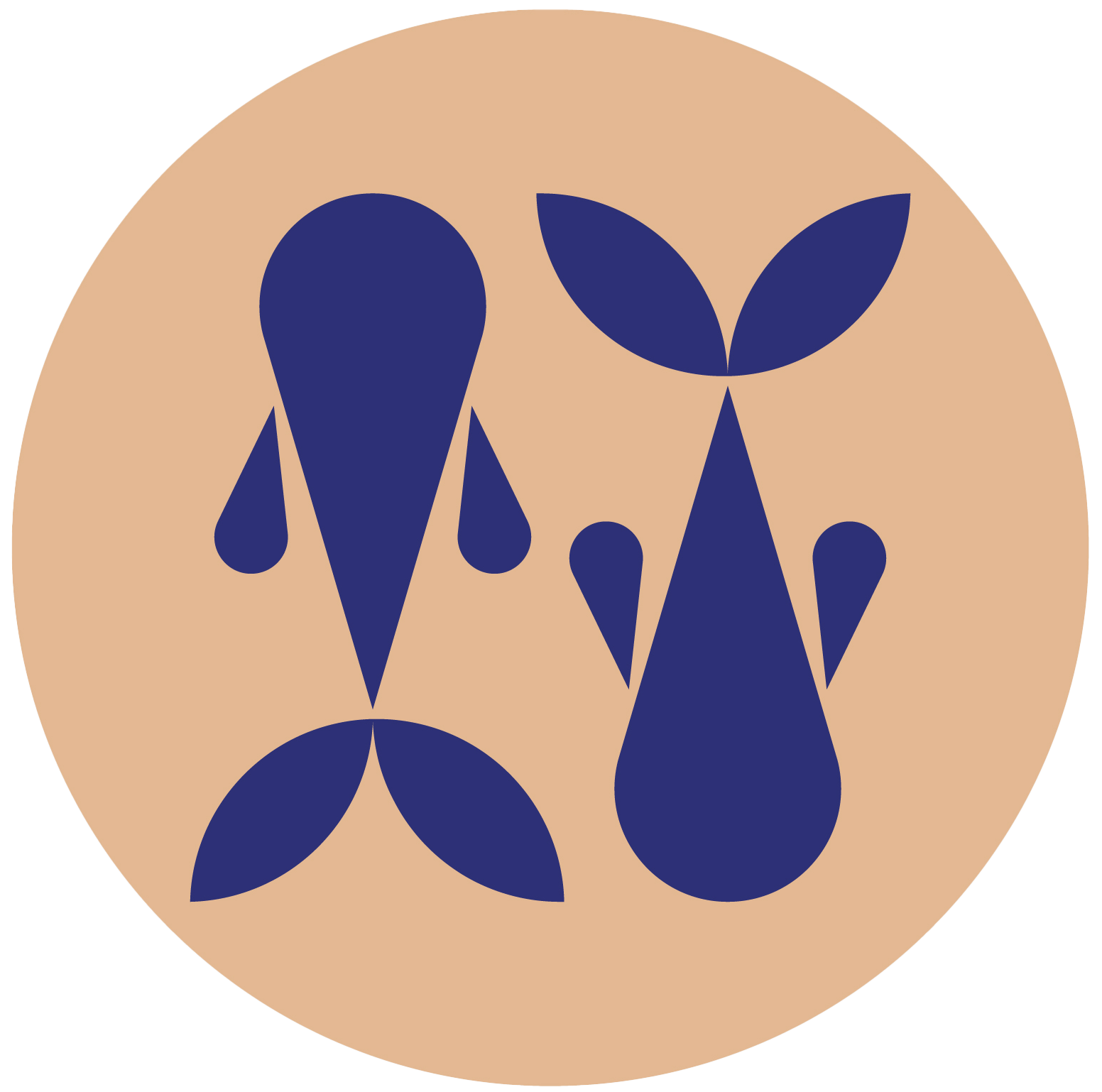 محصولات ماه تولد اسفند